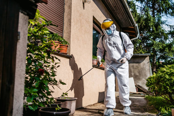 Trusted Copperopolis, CA Pest Control Experts