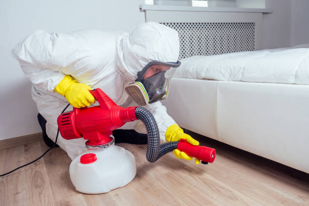 Best Insect Control  in Copperopolis, CA