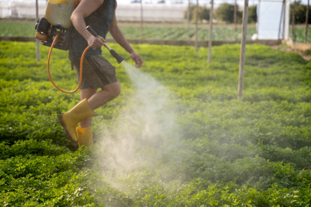 Pest Control Cost in Copperopolis, CA